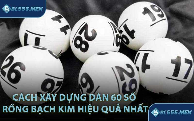 Cách Xây Dựng Dàn 60 Số Rồng Bạch Kim Hiệu Quả Nhất