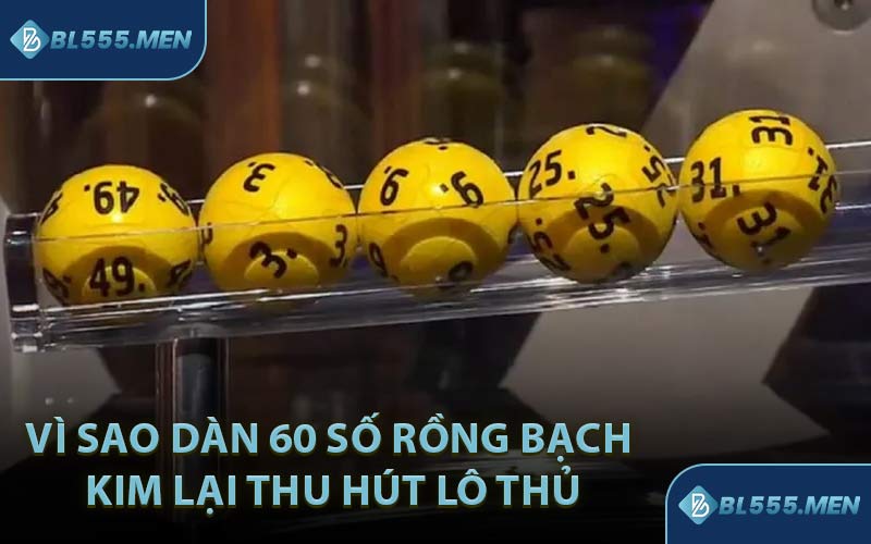 Vì Sao Dàn 60 Số Rồng Bạch Kim Lại Thu Hút Lô Thủ
